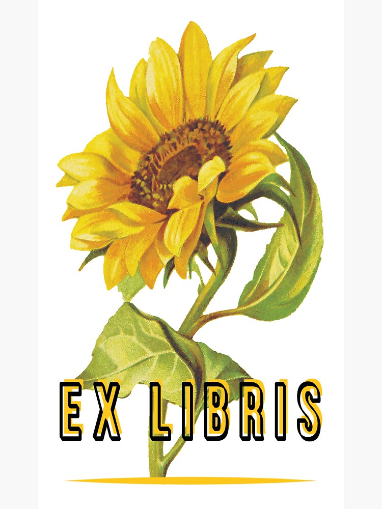 Thumbnail 3 of 3, Sticker, Sunflower designed and sold by WildRootsArt.