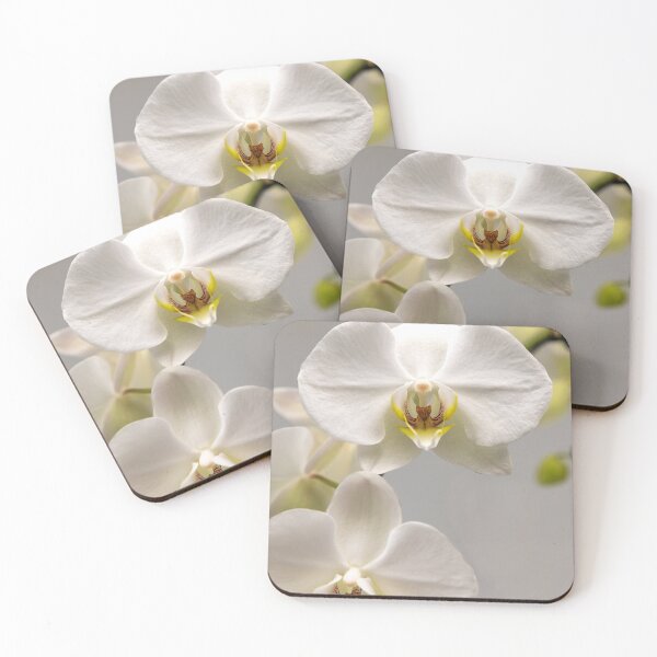 Item preview, White orchids designed and sold by Postertale.