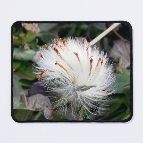 Item preview, Seeds designed and sold by Shulie1.