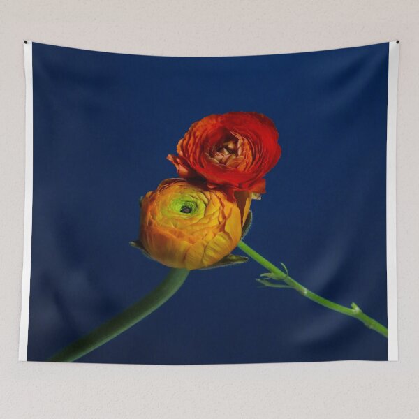 Item preview, Ranunculus - Entwined designed and sold by Thomas Bugarin.
