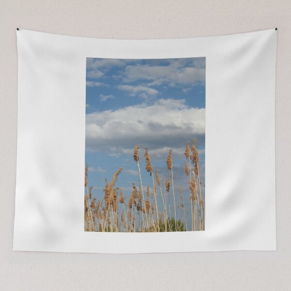 Item preview, reed and blue sky with clouds designed and sold by goceris.