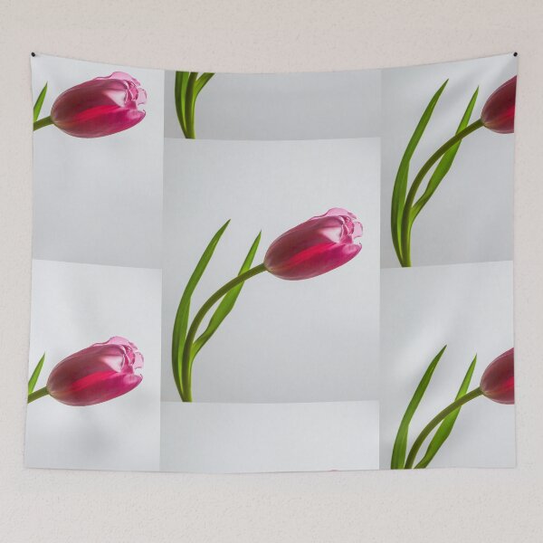 Artikelvorschau, Rosa Tulpe entworfen und verkauft von Thomas Bugarin.