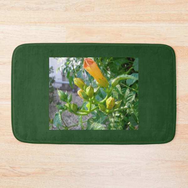 Item preview, Trumpet Vines designed and sold by Shulie1.
