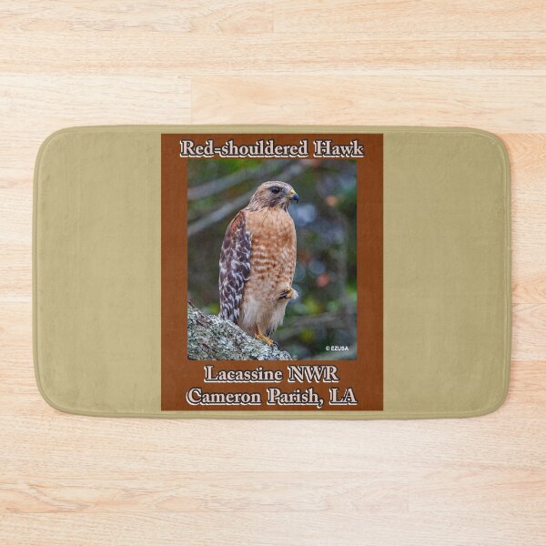Item preview, Give Someone You Love The Bird: Red-shouldered Hawk, Lacassine NWR, Cameron Parish, LA. designed and sold by MoreEZUSA-Here.