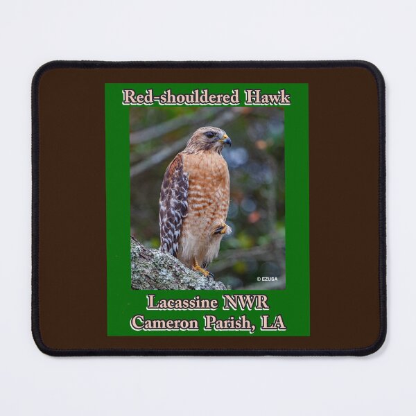 Item preview, The Perfect Gift For A Bird Lover: Red-shouldered Hawk, Lacassine NWR, Cameron Parish, LA. designed and sold by MoreEZUSA-Here.
