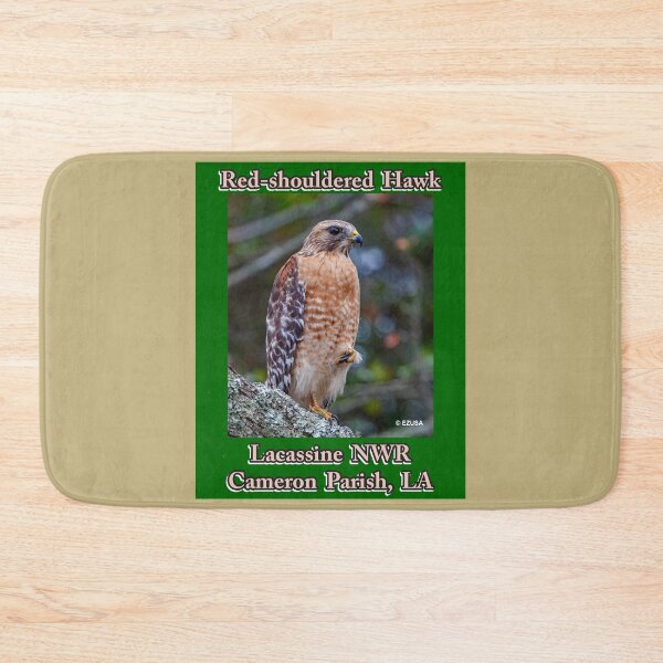 Item preview, The Perfect Gift For A Bird Lover: Red-shouldered Hawk, Lacassine NWR, Cameron Parish, LA. designed and sold by MoreEZUSA-Here.