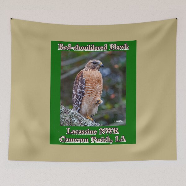 Item preview, The Perfect Gift For A Bird Lover: Red-shouldered Hawk, Lacassine NWR, Cameron Parish, LA. designed and sold by MoreEZUSA-Here.