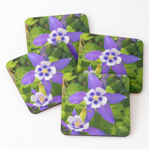 Item preview, Blue Columbine in Bloom designed and sold by Tim Dusenberry.