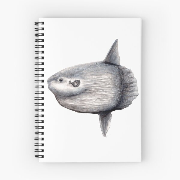 Item preview, Ocean sunfish (Mola mola) designed and sold by chloeyzoard.