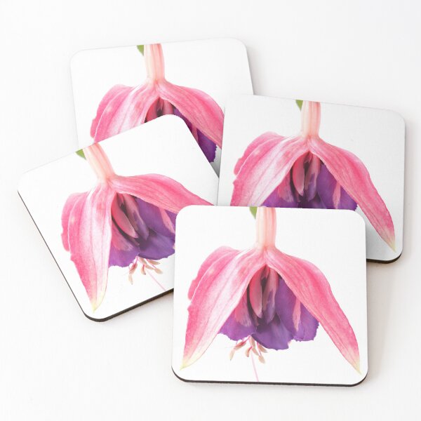 Item preview, Fuchsia  'Taffeta Bow'   designed and sold by Chris Burrows.