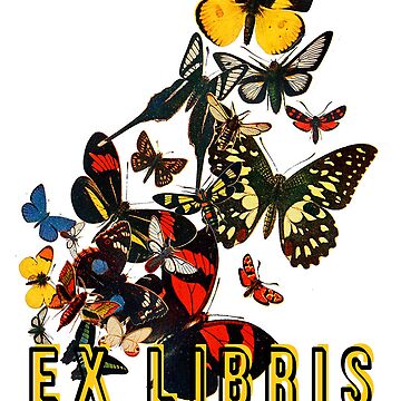 Artwork thumbnail, Butterflies by WildRootsArt
