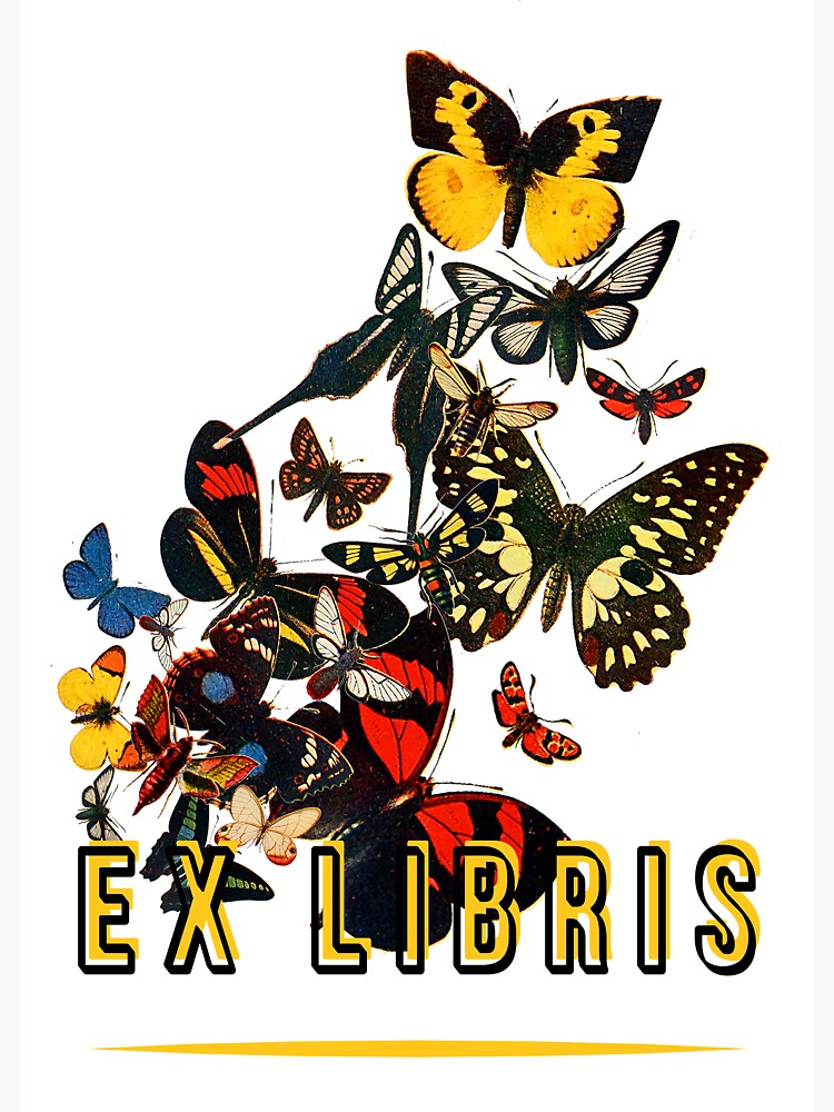 Thumbnail 3 of 3, Sticker, Butterflies designed and sold by WildRootsArt.