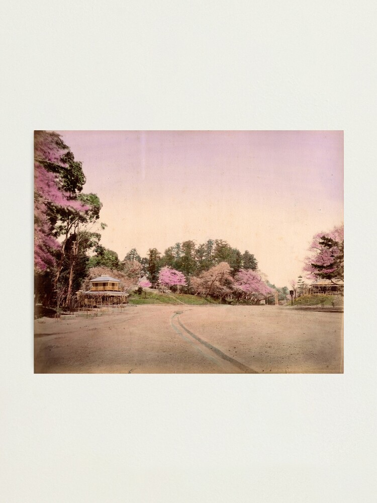 Alternate view of Uyeno garden, Tokyo Photographic Print