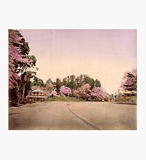 Uyeno garden, Tokyo Photographic Print