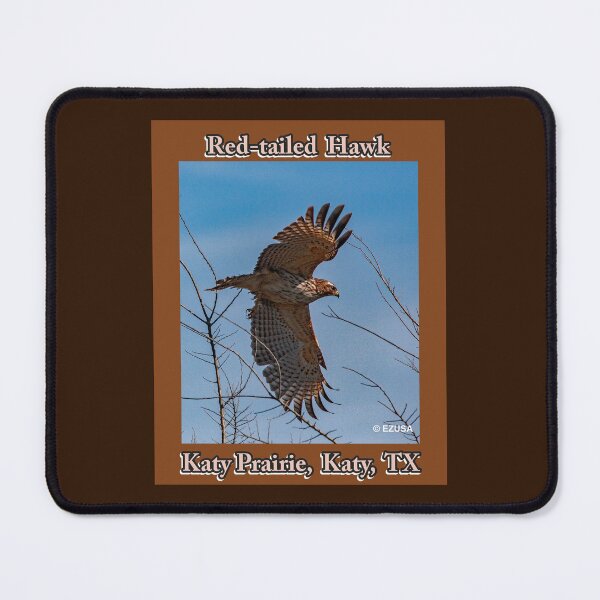 Item preview, For The Bird Lover In You: Red-tailed Hawk, Katy Prairie, Katy, Texas. designed and sold by MoreEZUSA-Here.