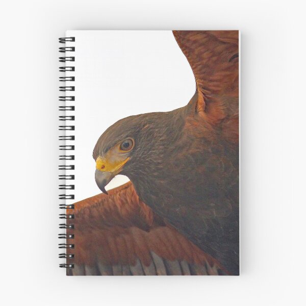 Item preview, Harris Hawk 3089 designed and sold by Strawflower Oasis.