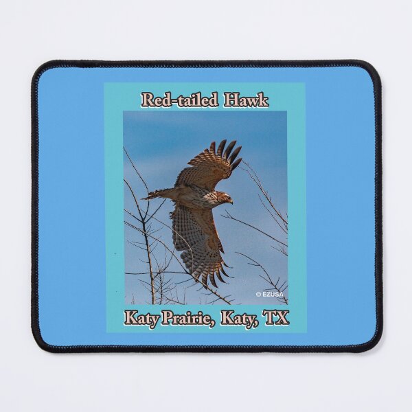 Item preview, Give The Bird To Your Lover: Red-tailed Hawk, Katy Prairie, Katy, Texas, designed and sold by MoreEZUSA-Here.