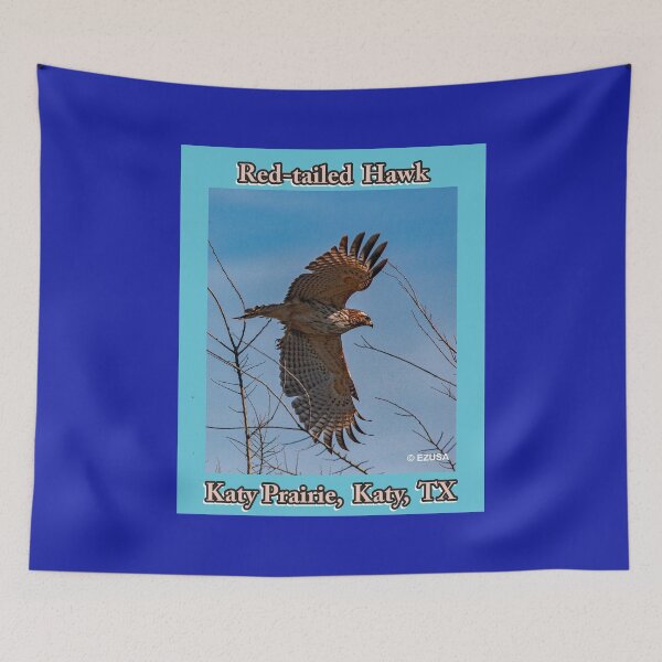 Item preview, Give The Bird To Your Lover: Red-tailed Hawk, Katy Prairie, Katy, Texas,  designed and sold by MoreEZUSA-Here.