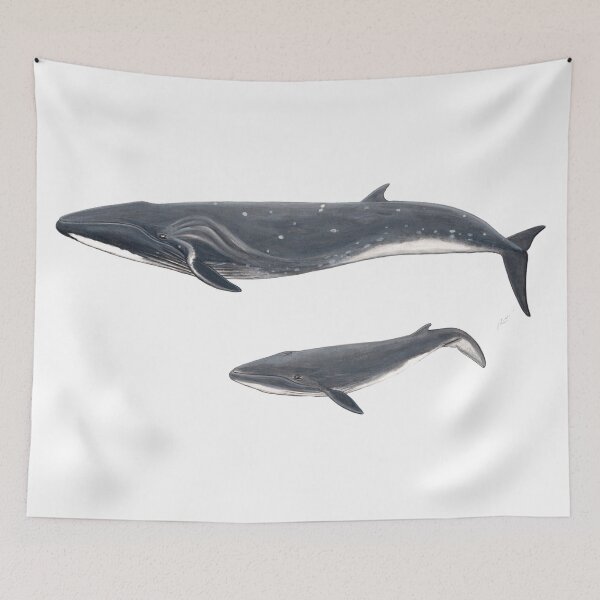 Item preview, Sei whale designed and sold by chloeyzoard.