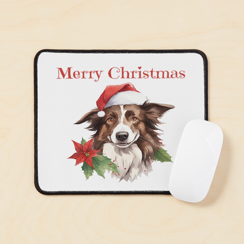 Chien Border Collie Avec Des Lumières De Noël Dans Le Chapeau Du Père