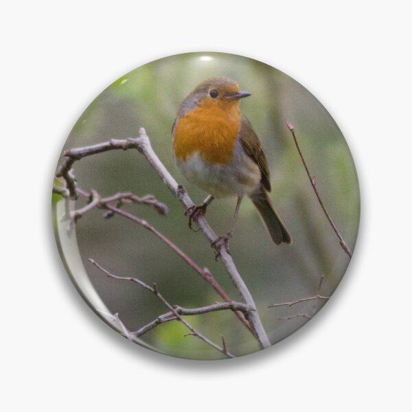 Item preview, A Special Visit from a Robin designed and sold by jimmyboysnapz.