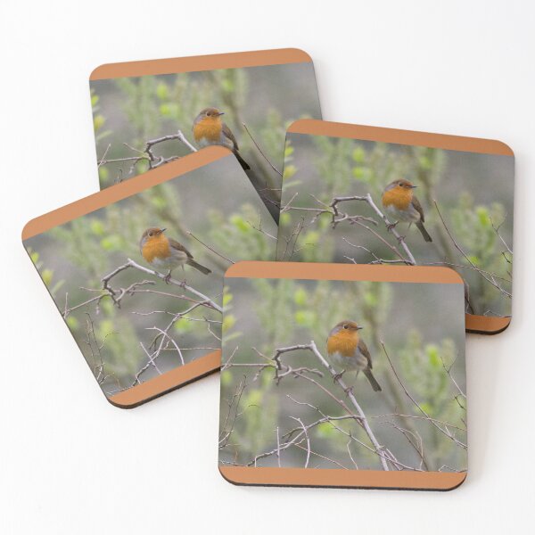 Item preview, A Special Visit from a Robin designed and sold by jimmyboysnapz.