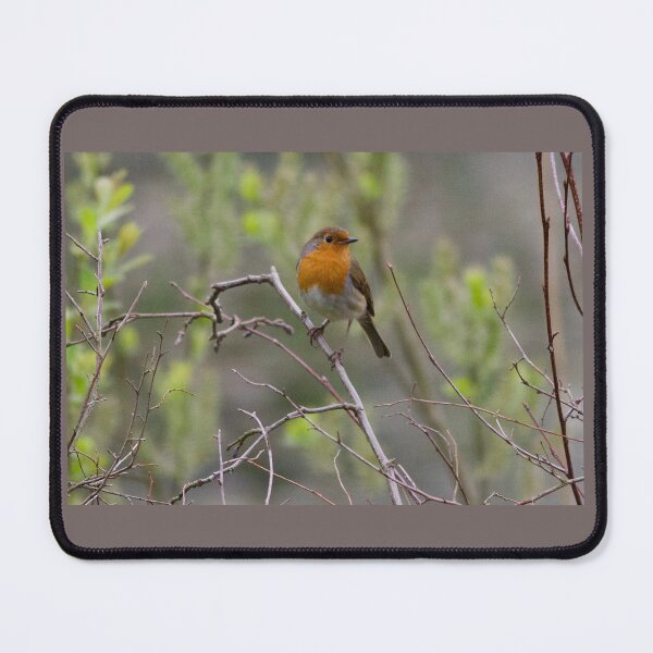 Item preview, A Special Visit from a Robin designed and sold by jimmyboysnapz.