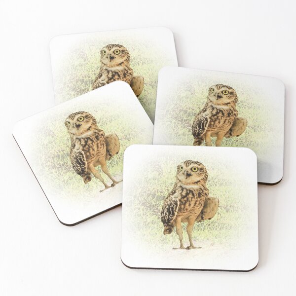 Item preview, Burrowing owl designed and sold by Guardi71.