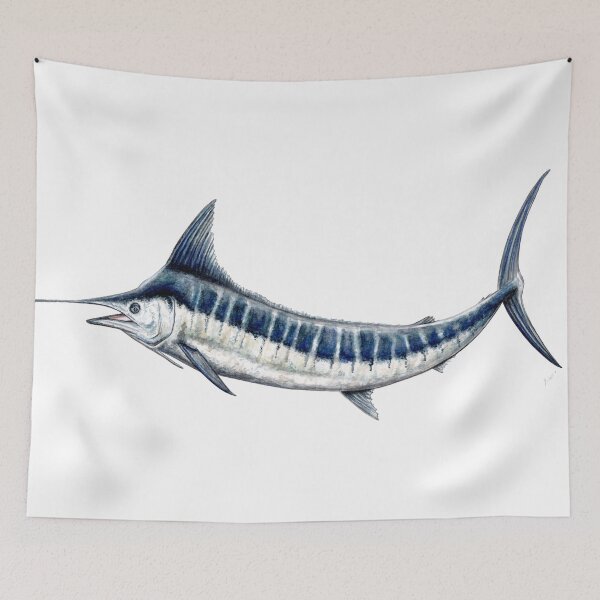 Item preview, Blue Marlin (Makaira nigricans) designed and sold by chloeyzoard.