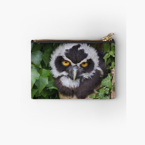 Item preview, Spectacled Owlet designed and sold by jimmyboysnapz.