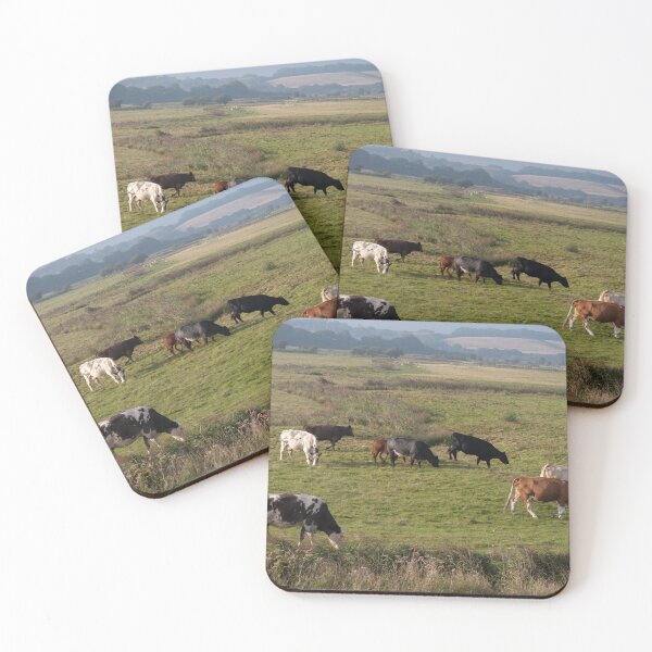 Item preview, Cattle Grazing in September designed and sold by GingerMan2550.