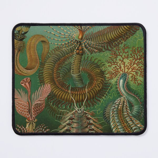 Item preview, Vintage Weird Ocean Life designed and sold by softbluehum.