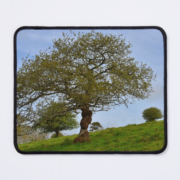Item preview, The tree slope designed and sold by alanoix.