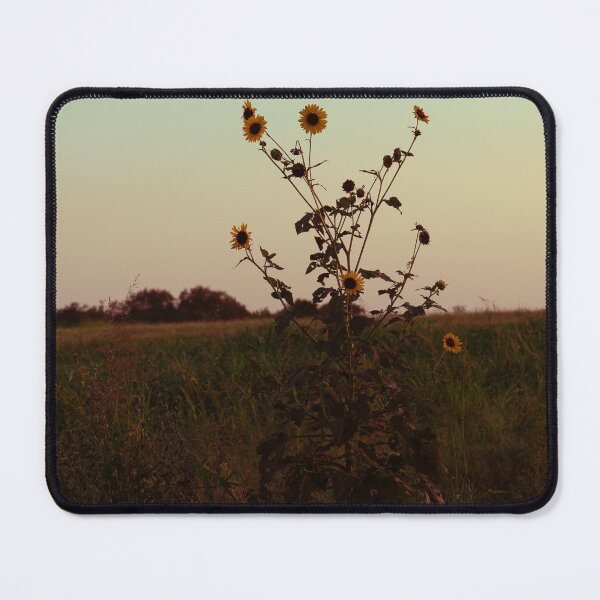 Item preview, Sunflower Haze designed and sold by okieshotsprints.
