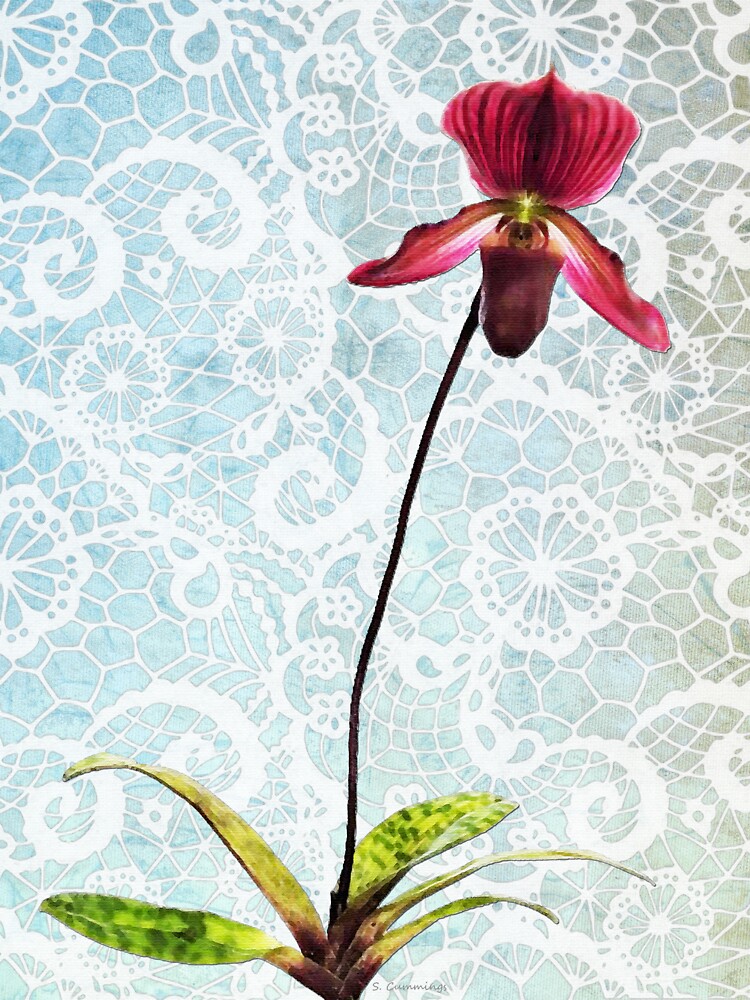 Burgundy Lady Slipper Orchid And Lace Flower Art