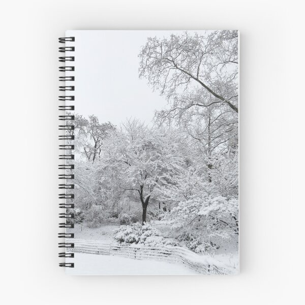 Item preview, Winter Snow in Central Park designed and sold by Thomas Bugarin.