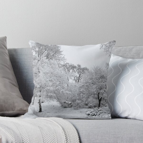 Item preview, Winter Snow in Central Park designed and sold by Thomas Bugarin.
