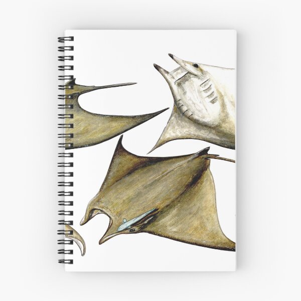 Item preview, Chilean devil manta ray (Mobula tarapacana) designed and sold by chloeyzoard.