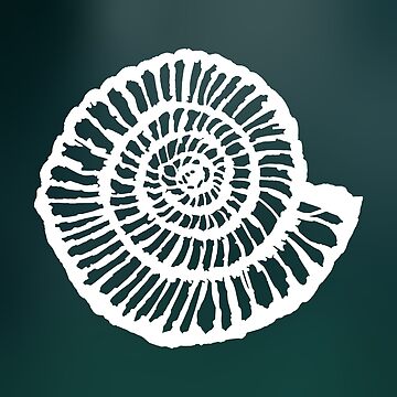 Artwork thumbnail, White Ammonite by dootzstudio