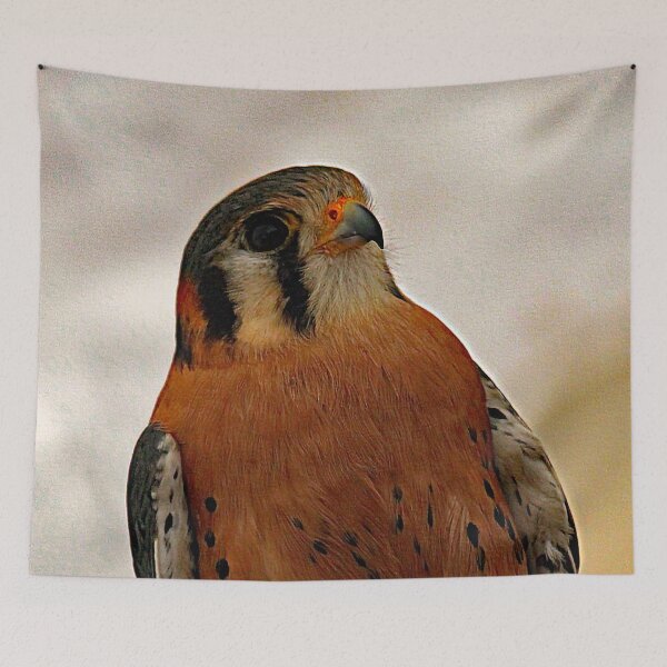 Item preview, American Kestrel 3157 designed and sold by Strawflower Oasis.