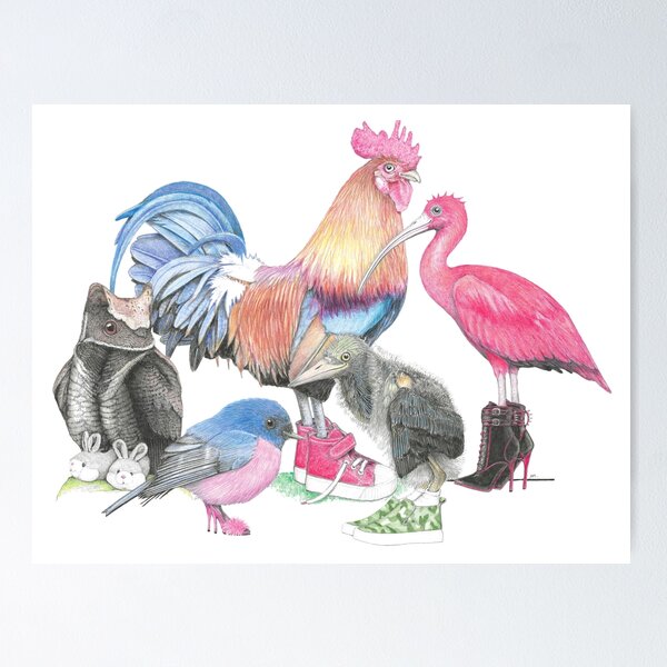 Item preview, 2023 Birds in Shoes calendar pic designed and sold by JimsBirds.