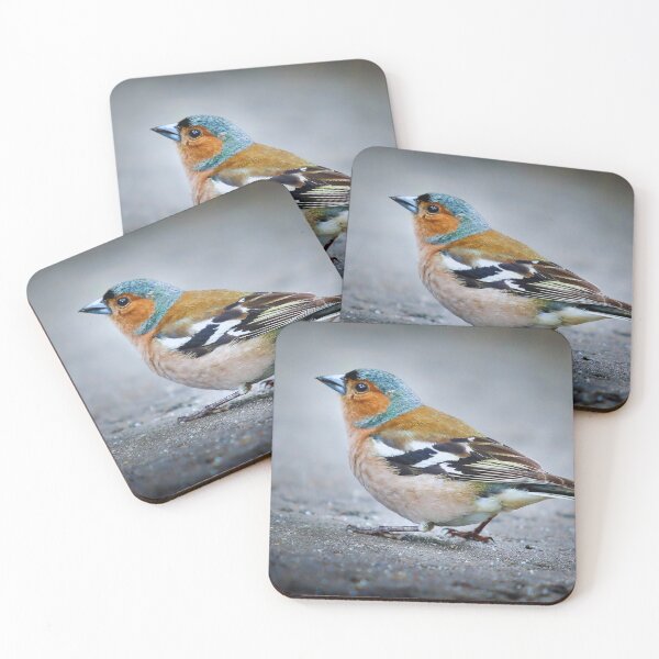 Item preview, Chaffinch on the road Nature Photography designed and sold by My Artprintz.