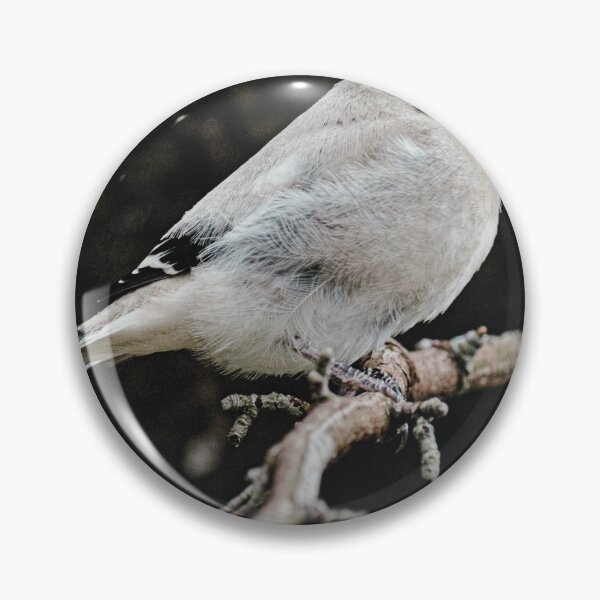 Item preview, Loggerhead Shrike Nature Photography designed and sold by My Artprintz.