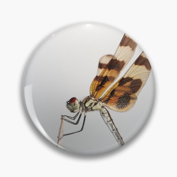 Item preview, Halloween pennant dragonfly designed and sold by SDym Photography.