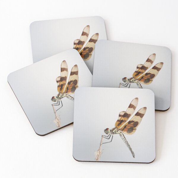 Item preview, Halloween pennant dragonfly designed and sold by SDym Photography.