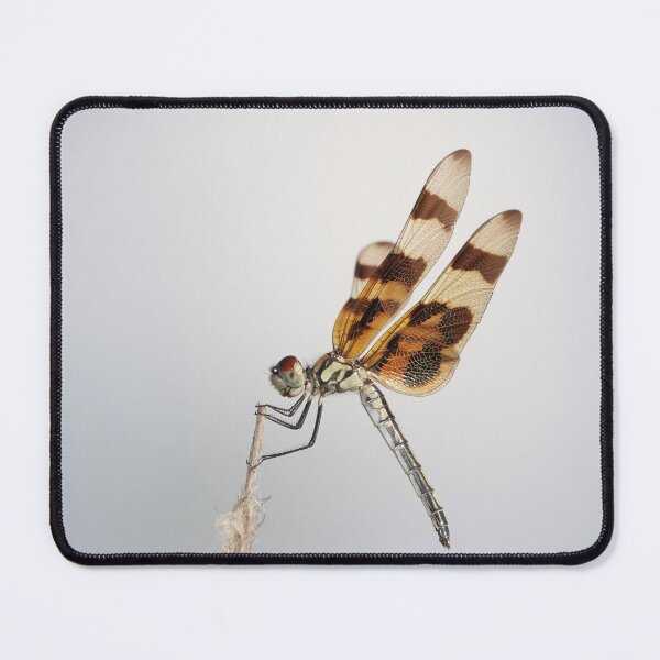 Item preview, Halloween pennant dragonfly designed and sold by SDym Photography.