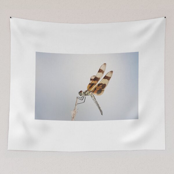 Item preview, Halloween pennant dragonfly designed and sold by SDym Photography.