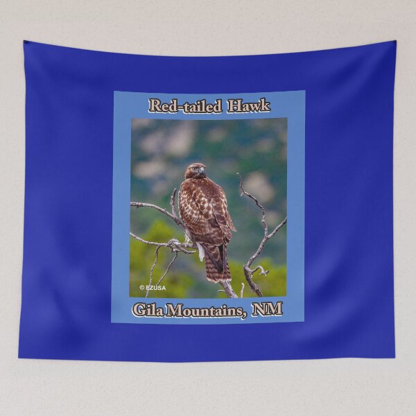 Item preview, The Perfect Gift For A Bird Lover: Red-tailed Hawk, Gila Mountains, NM. designed and sold by MoreEZUSA-Here.