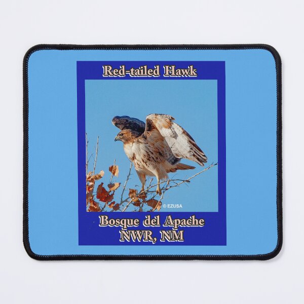 Item preview, Give The Bird To Your Lover: Red-tailed Hawk, Bosque del Apache NWR, NM. designed and sold by MoreEZUSA-Here.