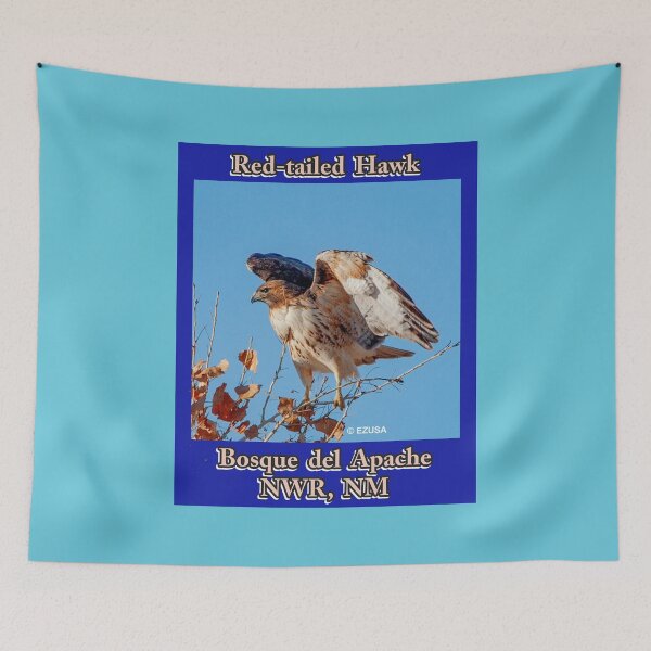 Item preview, Give The Bird To Your Lover: Red-tailed Hawk, Bosque del Apache NWR, NM. designed and sold by MoreEZUSA-Here.